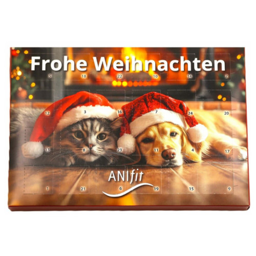 Anifit Adventskalender