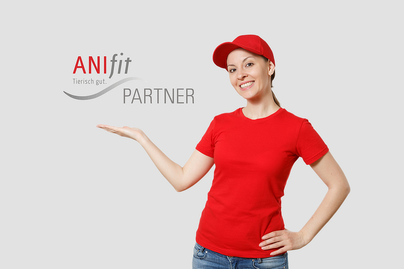 Anifit-Berater werden: So gehts