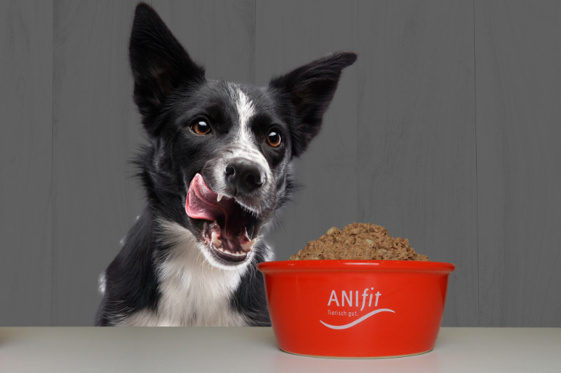 Anifit Fütterungsempfehlung Hund: Die richtige Futtermenge für Ihren Hund bestimmen