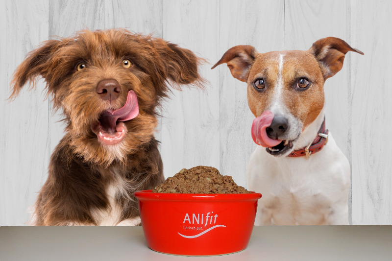 Anifit Futterumstellung Hund