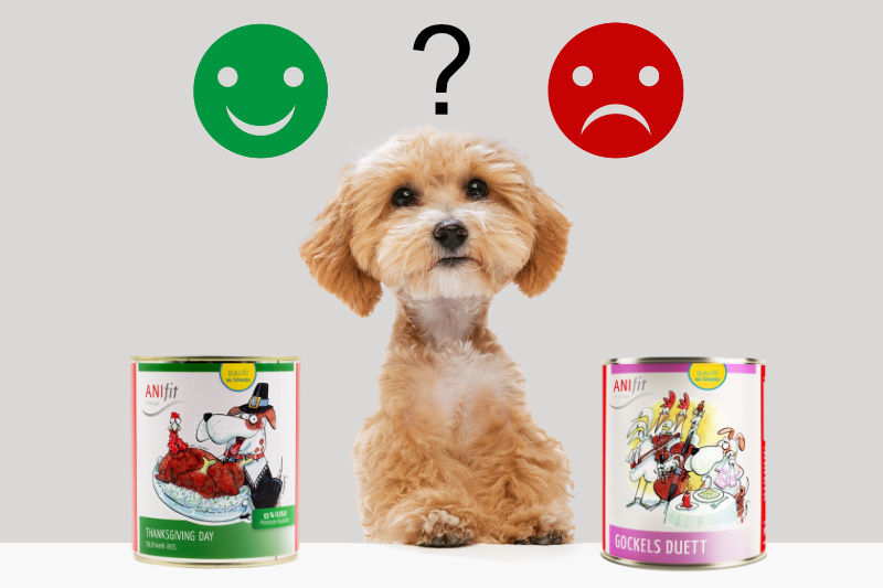 Anifit Hundefutter: Vorteile und Nachteile