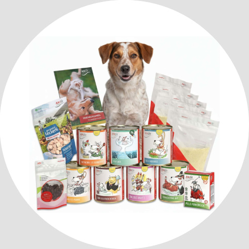 Anifit Schnupperpaket Hund