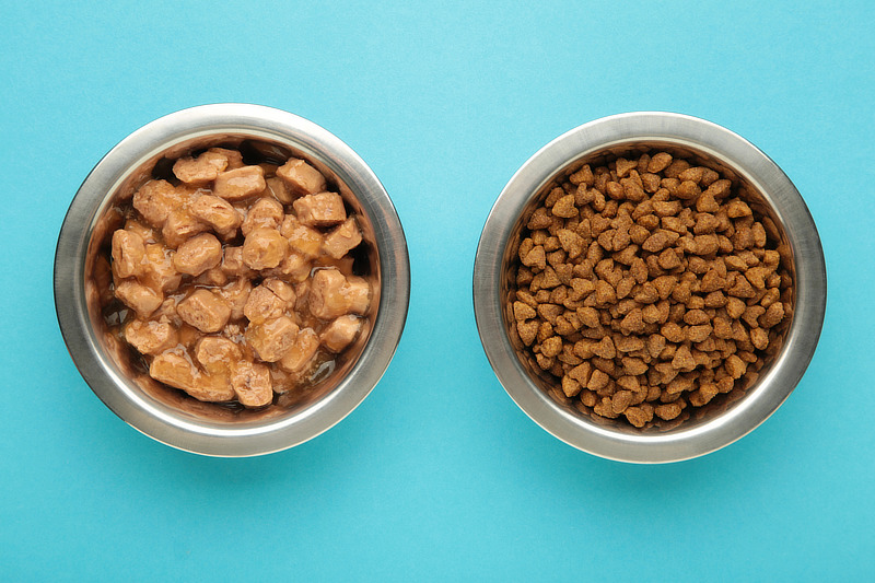 Hochwertiges Nassfutter ist eine gute Alternative zu Trockenfutter