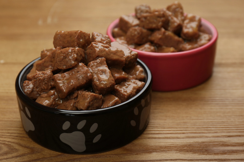 Hundefutter-Mythen im Check: Reicht wirklich eine Mahlzeit am Tag für Ihren Hund?