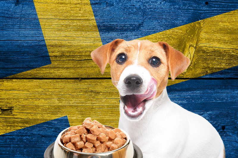 Hundefutter aus Schweden: Was macht schwedisches Hundefutter so besonders?
