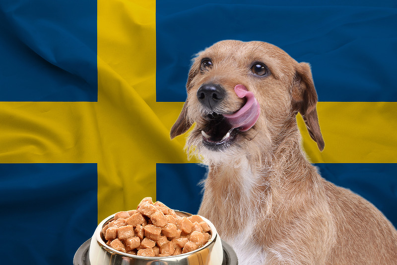 Hundefutter aus Schweden gilt als besonders hochwertig