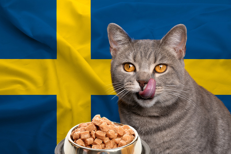Katzenfutter aus Schweden: Was macht schwedisches Katzenfutter so besonders?
