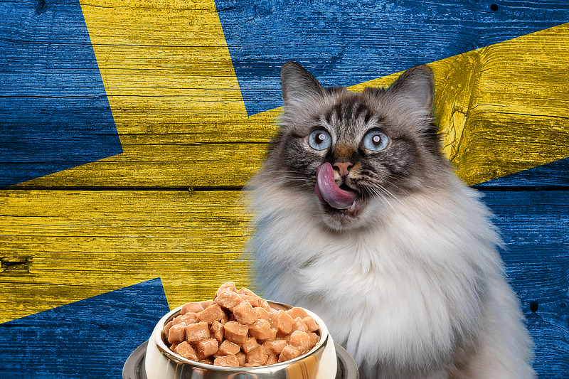 Katzenfutter aus Schweden gilt als besonders verträglich & hochwertig