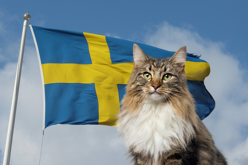 Schweden gilt international als Vorreiter, wenn es um Tiergesundheit und Tierschutz